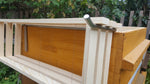 Rähmchenhalter Zander / Breitwabe