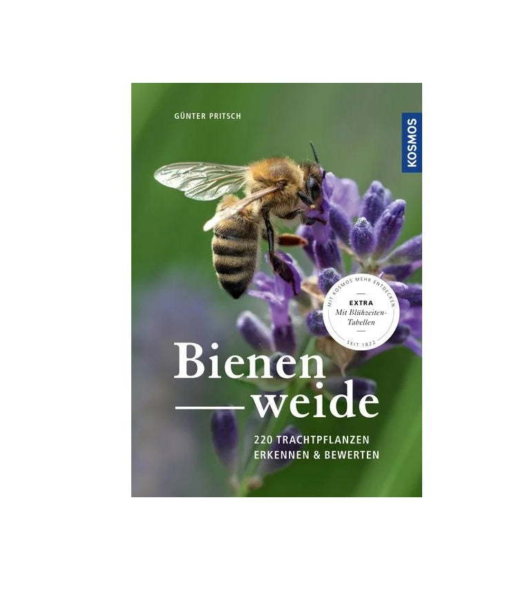 Bienenweide