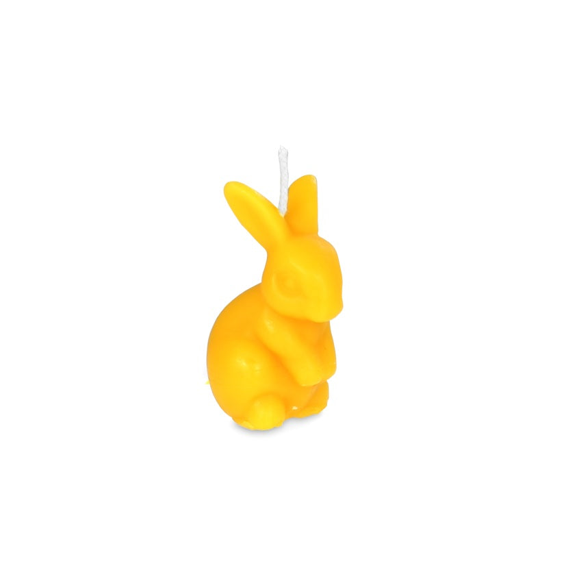 Hase