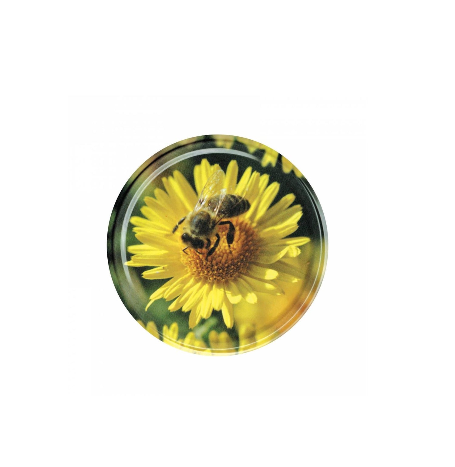 Blüte mit Biene grün, Deckel TO82