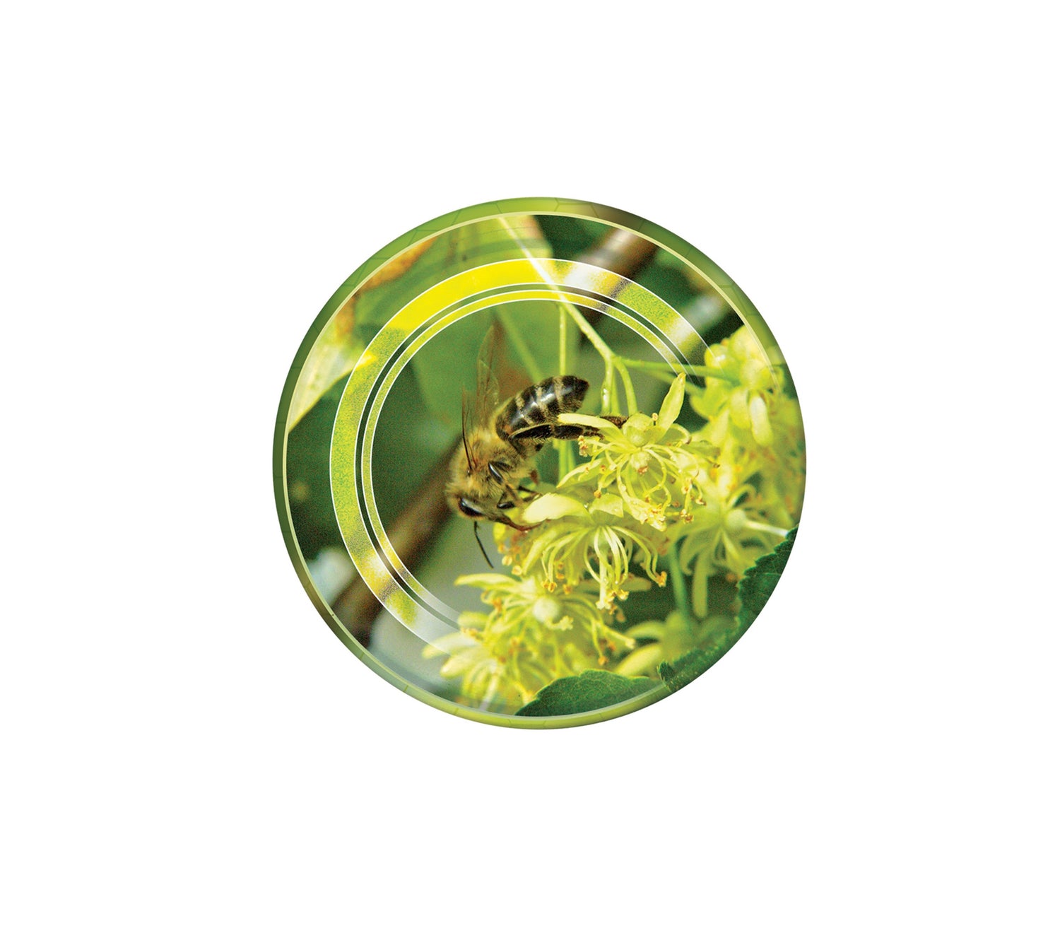 Biene auf Lindenblüte, Deckel TO82